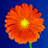 TiRaMisU's Avatar